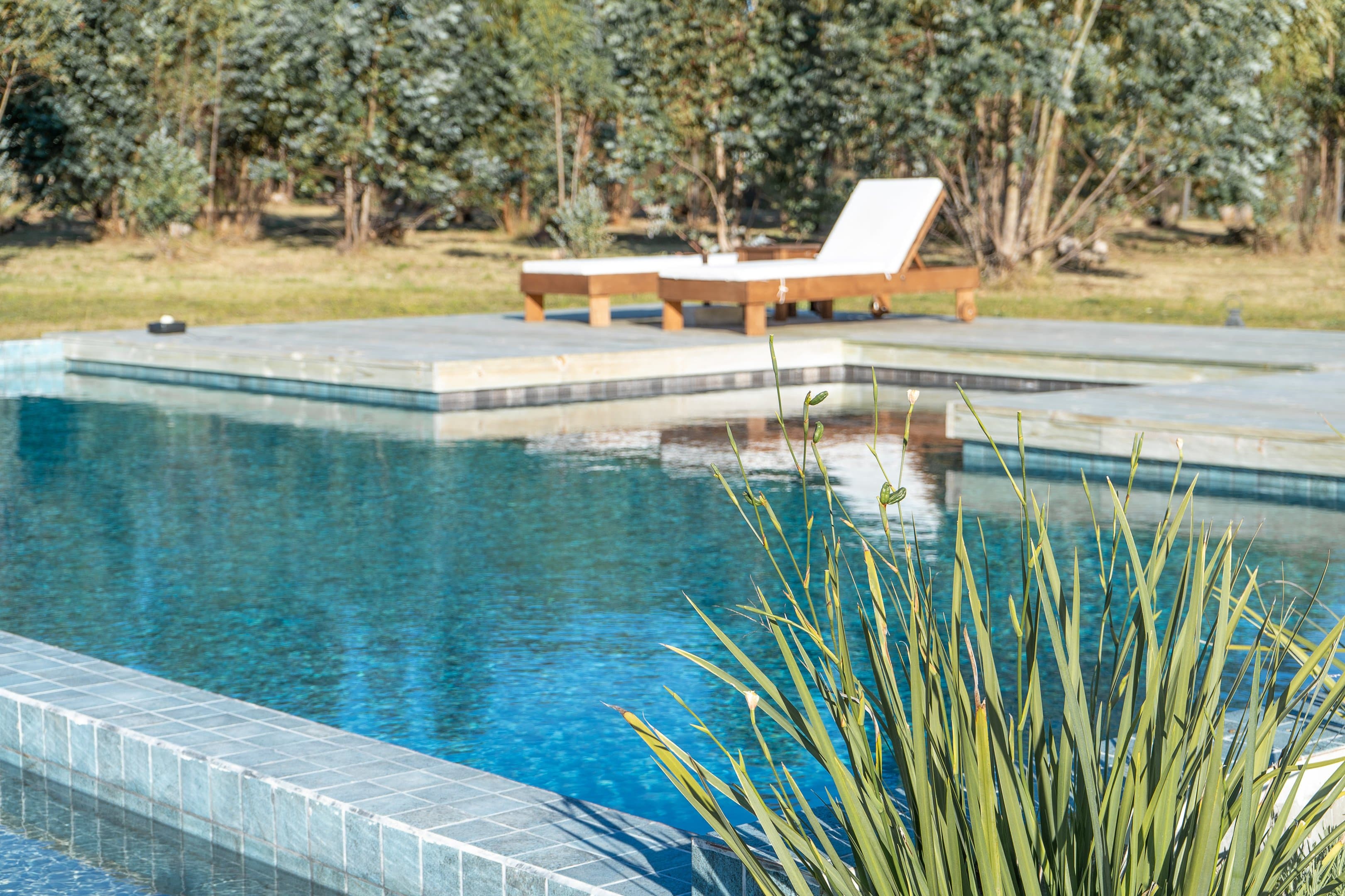 Piscina de hormigón con venecitas y deck de madera