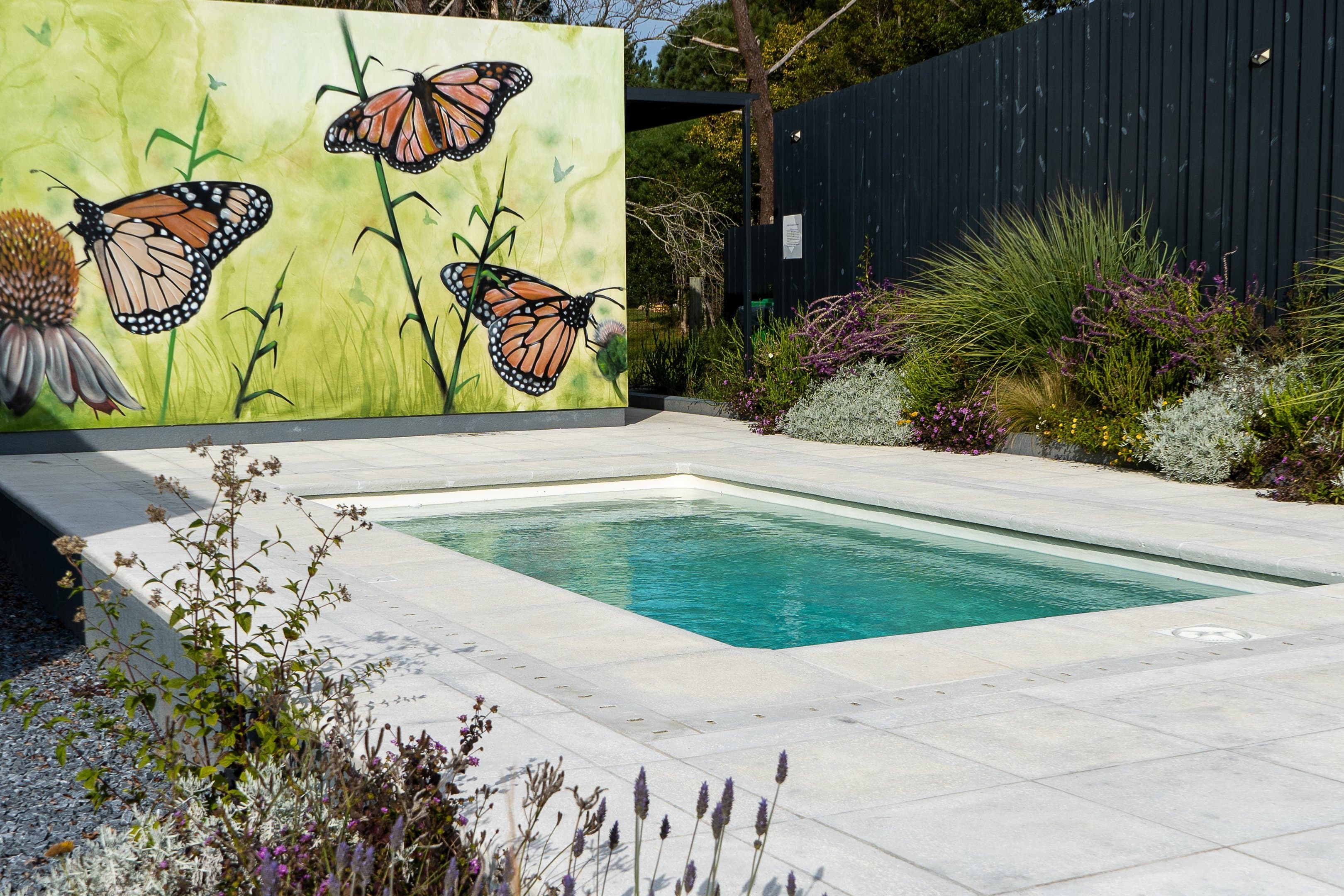 Piscina rectangular pequeña rodeada de piedra clara, con mural de mariposas y cantero de plantas